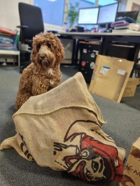 Ook bij P&P is het heerlijk avondje daar!
Op tafel stond genoeg lekkers klaar.

Mooie cadeautjes zijn er gegeven,
Er werden zelfs gedichten geschreven.

En denk je nou, moet ik gaan dichten met ChatGPT?
De helft van de collega's zal zeggen: doe maar nie.

We hebben gelachen en genoten,
Met uiteraard de beste pepernoten.

#pakjesmiddag #sinterklaas #sintbijpenp #heerlijkavondje #gezellig #pepernoten